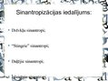 Prezentācija 'Pilsētas dzīvnieku valsts', 4.