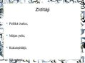 Prezentācija 'Pilsētas dzīvnieku valsts', 6.