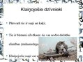 Prezentācija 'Pilsētas dzīvnieku valsts', 11.