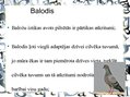 Prezentācija 'Pilsētas dzīvnieku valsts', 14.