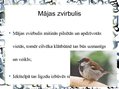 Prezentācija 'Pilsētas dzīvnieku valsts', 15.