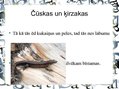 Prezentācija 'Pilsētas dzīvnieku valsts', 18.