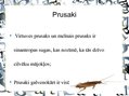 Prezentācija 'Pilsētas dzīvnieku valsts', 22.