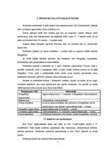 Biznesa plāns 'SIA “Foto”', 5.