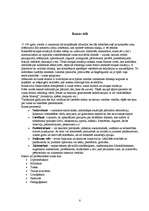 Referāts 'Retorika', 8.