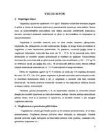 Referāts 'Vieglie betoni', 4.