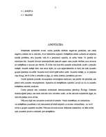 Referāts 'Jauniešu attieksme pret smēķēšanu', 3.