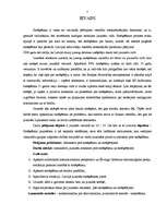 Referāts 'Jauniešu attieksme pret smēķēšanu', 5.