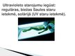 Prezentācija 'Ultravioletais starojums', 4.
