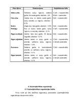 Referāts 'Bāru darba organizācija', 21.