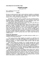 Referāts 'Mp3 pieci mīti', 1.