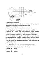 Referāts 'Reklāmas psiholoģisko iedarbības principu nozīme reklāmas veidošanā', 6.