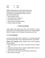 Referāts 'Reklāmas psiholoģisko iedarbības principu nozīme reklāmas veidošanā', 7.