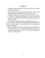 Referāts 'Reklāmas psiholoģisko iedarbības principu nozīme reklāmas veidošanā', 17.