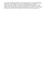 Eseja '"The Adventures of Huckleberry Finn" and Its Author Mark Twain', 2.