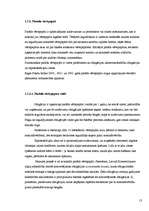 Referāts 'Investīcijas vērtspapīru tirgū', 13.