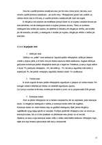 Referāts 'Investīcijas vērtspapīru tirgū', 15.