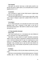 Referāts 'Investīciju efektivitātes salīdzinājums nekustamajā īpašumā un SEB ieguldījumu f', 19.