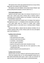 Referāts 'Investīciju efektivitātes salīdzinājums nekustamajā īpašumā un SEB ieguldījumu f', 23.