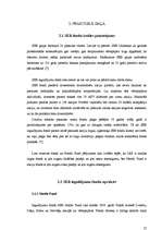 Referāts 'Investīciju efektivitātes salīdzinājums nekustamajā īpašumā un SEB ieguldījumu f', 25.