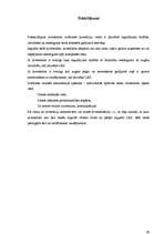 Referāts 'Investīciju efektivitātes salīdzinājums nekustamajā īpašumā un SEB ieguldījumu f', 39.