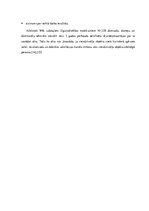 Referāts 'Iesniedzamā dokumentācija ēkas nodošanai ekspluatācijā', 20.