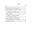 Referāts 'Starpniekdarbības loģistika', 2.