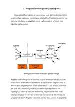 Referāts 'Starpniekdarbības loģistika', 4.