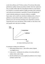 Referāts 'Starpniekdarbības loģistika', 5.