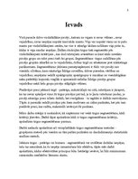 Referāts 'Segmentēšanas veidi un metodes', 3.