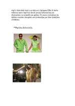 Eseja 'Dizaineri', 4.