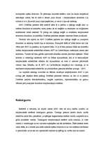 Referāts 'Mazo valstu ietekme ANO', 12.