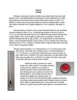 Konspekts 'Ziemas sporta veids - kērlings', 1.