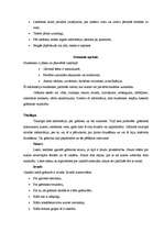 Konspekts 'Lasīšanas metode. Literatūras saraksta veidošana. Kā gatavot akadēmisko ziņojumu', 3.