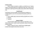 Konspekts 'Lasīšanas metode. Literatūras saraksta veidošana. Kā gatavot akadēmisko ziņojumu', 4.