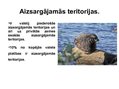 Prezentācija 'Transporta un vides politika Somijā', 13.