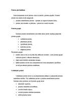 Eseja 'Projekta vadlīnijas prezentācija', 2.