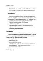 Eseja 'Projekta vadlīnijas prezentācija', 3.