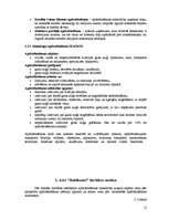 Referāts 'AAS “Baltikums” apdrošināšanas portfeļa un finanšu rādītāju analīze', 12.