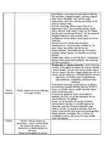 Referāts 'Elpošanas orgānu sistēma, tās slimības', 8.
