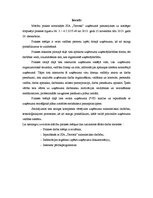 Prakses atskaite 'Uzņēmums SIA "Terrosk"', 2.