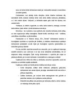 Prakses atskaite 'Uzņēmums SIA "Terrosk"', 11.