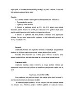 Prakses atskaite 'Uzņēmums SIA "Terrosk"', 15.