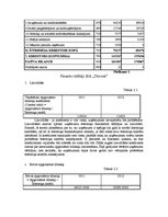 Prakses atskaite 'Uzņēmums SIA "Terrosk"', 20.