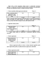 Prakses atskaite 'Uzņēmums SIA "Terrosk"', 21.