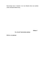 Prakses atskaite 'Uzņēmums SIA "Terrosk"', 28.