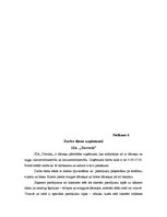 Prakses atskaite 'Uzņēmums SIA "Terrosk"', 29.