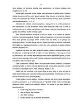 Referāts 'Organizācijas mārketinga makrovides faktori', 12.