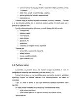 Referāts 'Organizācijas mārketinga makrovides faktori', 13.