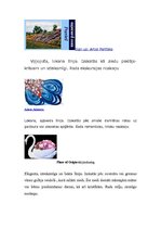 Konspekts 'Vizuālā māksla', 7.